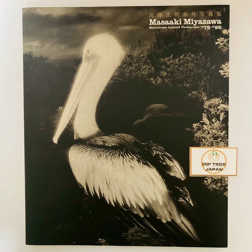 Masaaki miyazawa infrarot - masaaki,