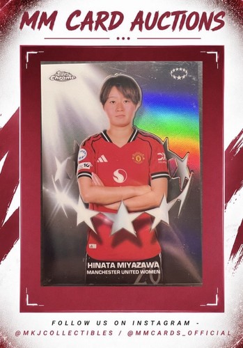 Hinata miyazawa noble - hinata, case