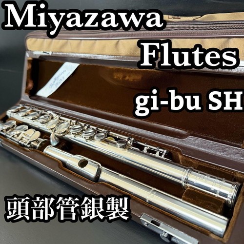 Miyazawa sh modell - sh,